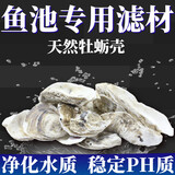 派乐特 鱼缸生蚝壳滤材鱼池过滤牡蛎天然海蛎装饰贝壳平衡ph值锦鲤着色