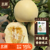 北蔬白皮香瓜种子苗皮薄肉厚白瓤甜瓜水果籽 白皮香瓜种子20粒x2包