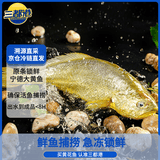 三都港冷冻黄花鱼1kg  宁德大黄鱼 生鲜 鱼类 深海鱼 海鲜水产