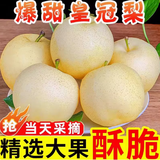 皇金蜜 河北 皇冠梨 净重2.25kg 二级花皮果 生鲜 新鲜水果 5斤助农装（净重4.5斤6-9个）