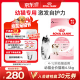 皇家幼猫猫粮 幼猫奶糕 K36 通用粮 4-12月 4.5KG