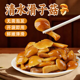 鲜窝窝 滑子菇400g 清水蘑菇滑菇珍珠菇煲汤火锅食材小鸡炖蘑菇