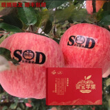 灵宝苹果 LINGBAO APPLE灵宝正宗寺河山红富士苹果礼盒装新鲜天然富硒脆甜爽口(无标) 80mm-85mm（15个装）