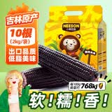 东北农嫂糯玉米段多色可选软糯香吉林原产粘玉米真空低脂粗粮主食 【软糯香】黑糯玉米穗2kg 约10根