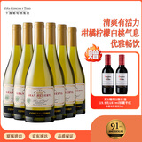 Concha y Toro干露典藏级霞多丽干白葡萄酒750ml*6瓶整箱 智利原瓶进口红酒