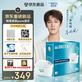 碧然德Maxtra Pro滤芯 PURE系列纯净全效型 12只装 过滤器净水器滤芯 碧然德滤芯