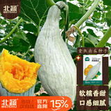 北蔬 南瓜种子苗新疆金丝栗丑瓜甜糯板栗味蔬菜种籽 贵族南瓜种子20粒