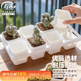 寿禾 育苗盒方形育苗杯种植盆培育种苗 育苗盒套装(含托架)-白色款
