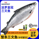 尝鲜生 挪威三文鱼整条进口冰鲜三文鱼(大西洋鲑)拼盘生鲜鱼类精选中段 【法罗皇冠】净重 10斤 -11斤【分切请留言】