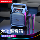 纽曼（Newmine）K99无线蓝牙音箱户外大音量广场舞音响小型家用收音机手提便携式带麦克风地摊摆摊喇叭双麦版
