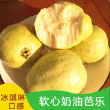 广东特产高山芭乐脆甜番石榴白心新鲜热带当季孕妇低糖水果一整箱 【放软吃】5斤大果白心奶油芭乐