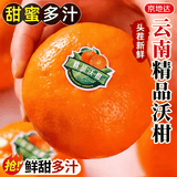 京地达云南沃柑蜜桔橘子净重5斤单果70mm+ 端午新鲜水果源头直发包邮