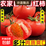 西红柿水果沙瓤番茄多汁新鲜蔬菜生鲜减肥减脂可生吃 山东西红柿4斤带箱 3.8斤 净重