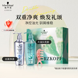 施华蔻（Schwarzkopf）去屑控油礼盒（净屑洗400ml+控油洗400ml）洗发水 团购节日福利