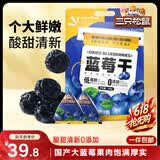 三只松鼠每日蓝莓干500g 蜜饯果干酸甜休闲零食下午茶孕妇儿童健康零食