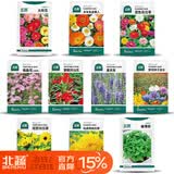 北蔬花种子大全四季开花太阳花室内室外植物向日葵花卉籽 10种花种子