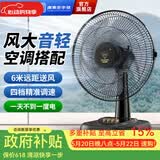 钻石牌（DIAMOND）台式电风扇桌面风扇宿舍办公室转页扇学生客厅床头摇头大风扇台扇WY 【京仓当/次日达】12寸五塑叶机械+低噪节能