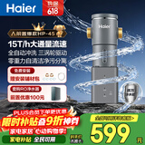 海尔（Haier）前置过滤器超15T大通量家用自来水过滤净水器40微米全自动反冲洗实时水压监测全屋净水HP-45