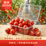 京鲜生 千禧水果小番茄/圣女果 净重2斤 生鲜水果 