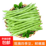 农家四季豆新鲜现摘云南长扁豆角农家应当季蔬菜芸豆现摘菜豆 新鲜四季豆1斤