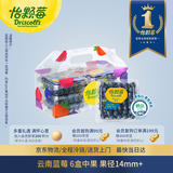 怡颗莓Driscoll's 云南蓝莓14mm+ 6盒装 约125g/盒 新鲜水果礼盒