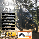 天鹰TX250F黑金版 燃油踏板摩托车复古摩旅通勤越野安全 26款赠手套