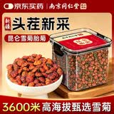 南同九坊 南京同仁堂 昆仑雪菊胎菊 菊花茶正宗新疆特产地搭级天山血菊90g