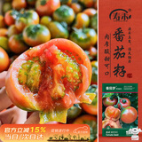 寿禾番茄种子苗大果西红柿绿果肩菜种籽 潍育番茄梦草莓番茄种子180粒