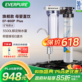 爱惠浦（Everpure） 家用矿物质厨下净水器 大流量0废水直饮 1.8L/分钟3500L处理量 EF-900P Plus