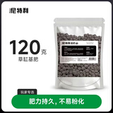尼特利（NETLEA）水草泥鱼缸净水营养土水族养鱼水藻泥免水洗种植土草缸底砂 基肥120g（分装）