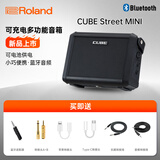 罗兰（Roland）CUBE-Street EX 音箱户外路演 便携弹唱电吹管电吉他户外弹唱音响 CUBE STREET MINI音箱