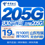中国电信流量卡19元电信星卡大王卡纯上网山东手机卡电话卡5g非无限全国通用SDDX