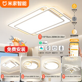 MI已接入米家小爱智能吸顶灯客厅灯卧室灯全光谱护眼灯具套餐 【三室两厅】米家智控+包安装 蓝牙mesh可灵动开关和遥控器