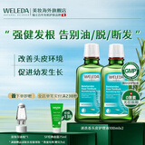 维蕾德（WELEDA）头皮精华防脱固发营养液清爽控油止痒迷迭香头皮护理液免洗进口 【强韧丰盈发量】周期稳固装200ml