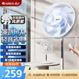 格力（GREE）【双层扩风扇叶】立式电风扇大风量家用落地扇广角摇头定时遥控电扇台地两用落地扇 FSZ-30X65Bg7