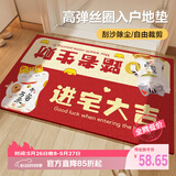 瑞恩入户地垫丝圈高端进户门口垫子家用进门地毯防滑脚垫可裁剪