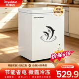 荣事达（Royalstar）小冰柜家用小型冷冻保鲜迷你冷藏商用卧式冷柜单用储母乳柜节能省电 【176升级加厚 可囤200斤肉 铜管制冷】