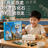 贝贝家趣味玩具恐龙化石考古挖掘二年级学生可拼骨架模型生日礼物