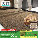 大江入户门地垫入户脚垫进户门门口地垫门外蹭土门垫90x150cm