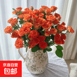 玫瑰百合向日葵云南鲜花生活鲜花昆明鲜花花束源头直发鲜花速递2 多头玫瑰橙色芭比5枝