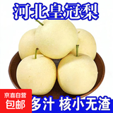 【正宗河北皇冠梨】薄皮新鲜脆甜非雪花梨香梨秋月梨一整箱 河北皇冠梨4斤装（净重3.5斤）【实惠中果】