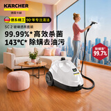 KARCHER德国卡赫家用蒸汽清洁机高温高压家电空调油烟机多功能清洗一体机全能版蒸汽机高压清洗机洗地机 SC2玻璃透亮套装