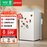 容声95L单门小冰箱家用一级能效小户型节能超薄保鲜出租房宿舍迷你以旧换新BC-95D12