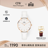 丹尼尔惠灵顿（DanielWellington）DW女士手表小众轻奢流金皮质石英腕表生日礼物送女友DW189