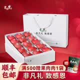 君恬果园红富士苹果生鲜节日礼品高端水果礼盒烟台特产87mm15颗 鉴赏红富士15颗装
