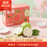 京鲜生 白心奶油芭乐/番石榴 净重3斤 单果150g+ 生鲜水果礼盒