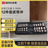 波斯（BOSI）12件套皮带冲皮革开孔器打孔器 3-19MM BS529012