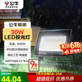 公牛（BULL）LED投光灯户外庭院工厂园林灯露营灯 IP65防水等级30W-6500K白光