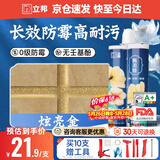 立邦美缝剂甄美缝十大品牌地砖瓷砖耐水防霉勾缝填缝美缝胶 炫亮金