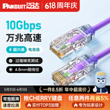 泛达 泛达超六类细网线CAT6A类跳线家用电脑宽带POE监控万兆高速成品线 木槿紫 1米